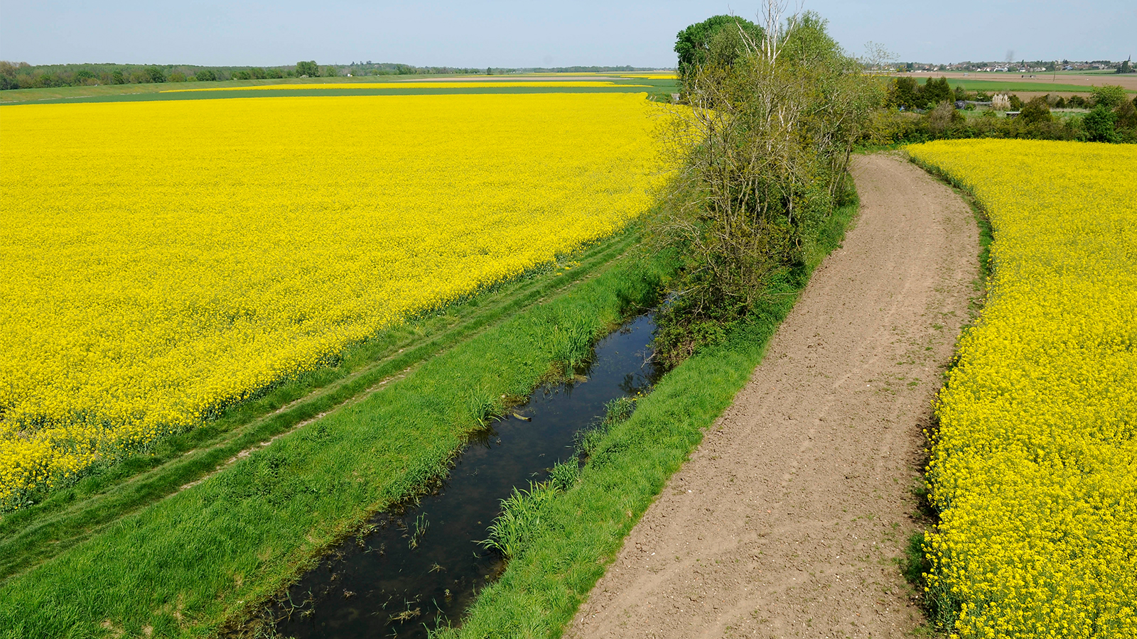 Diminuer les GES, augmentez votre revenu