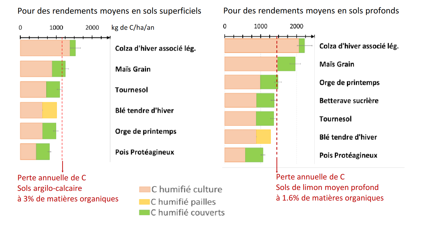 Carbone humifié pour différentes cultures et couverts