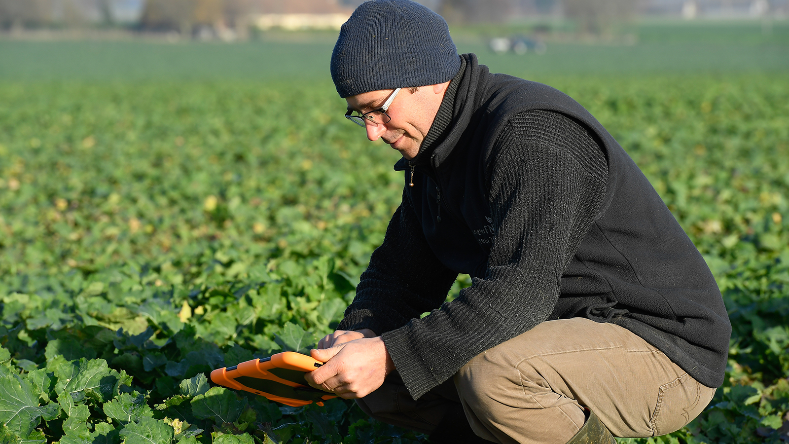 Agriculteur champ de colza