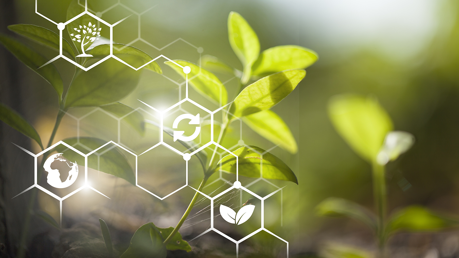 Les OAD évoluent vers la traçabilité agroécologique