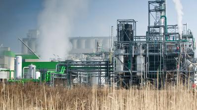 COVID-19 adaptation de nos services OleoZE et Feedmarket