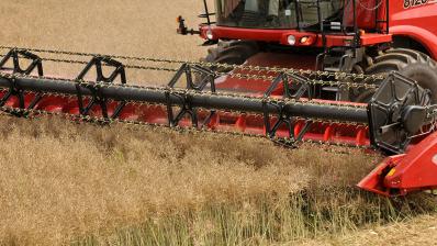 OleoZE valorise les récoltes de colza et le tournesol 