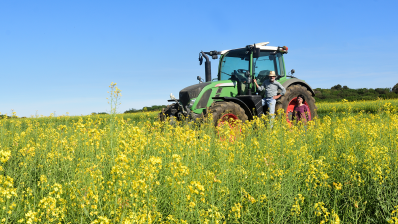 Agriculteur dans un champ de colza
