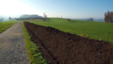 Amendement organique - Terrial / OleoZE