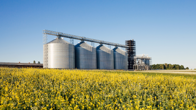 Stockage champ colza