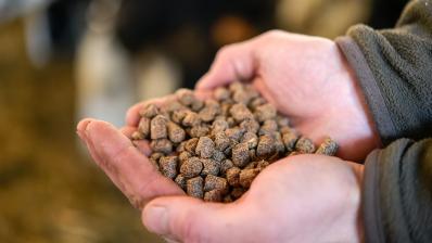 Tourteau pour l'alimentation animale